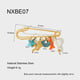 NXBE07 Picture4