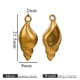 Golden conch Picture5