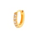 020—Gold Picture5