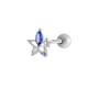 013 – Silber Bild11