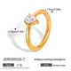 JDR0305026/Size 8 Picture6