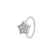 042-Silver Picture19
