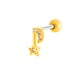 995—Gold Picture10