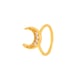 042-Gold Picture10