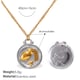 XL769SG7 Goldkette Bild6