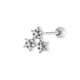 934—Silver Picture6