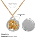 XL769SG4 Goldkette Bild10