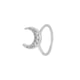 042-Silver Picture22