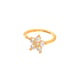 HSPJ0164-Nasenring Bild8