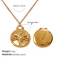 XL769G6 Goldkette Bild20