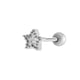 937--Silver Picture15