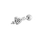 971—Silver Picture5