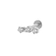 T2509-7# Silver Picture13