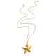 Gold Single Pendant Long Starfish Necklace Picture3