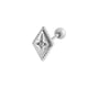 929—Silver Picture12