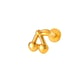 T2524-8#gold Bild11