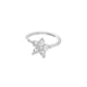 HSPJ0164-Nasenring Bild7