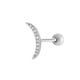 013 – Silber Bild16