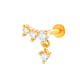 0195-1#gold Picture13