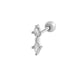 913—Silver Picture5