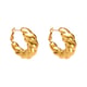 F538-Gold Earrings Picture2
