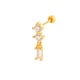 gold Picture13