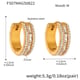 F507-Golden Zircon Earrings-M Picture4