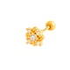 gold Picture12