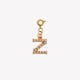 Spring Buckle Pendant-Z Picture2