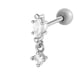 0189-4# Silver Picture10