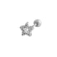 920—Silver Picture2