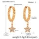 Q055-Golden Five-pointed Star Zircon Earrings-S Picture6
