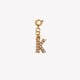 Spring Buckle Pendant-K Picture17