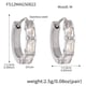F512-Steel Color Zircon Earrings-M Picture5