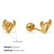 EH1206G Piercing Earrings Picture13