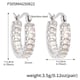F505-Steel Colored Zircon Earrings Picture2