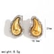 Earrings TE60455-SG 