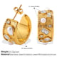 EH1194WEG white zirconium gold earrings