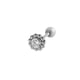 920—Silver Picture3