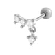 0189-5# Silver Picture9