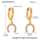 Q058-Golden Horseshoe Buckle Zircon Earrings-L Picture3