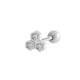 912—Silver Picture12