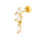 0189-3#gold Picture23