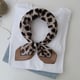 brown/Leopard Print Series 3 Picture5