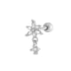 2605-2# Silver Picture12