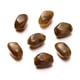 brown Picture10
