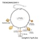 TXE402-color matching DIY bracelet 16+5cm Picture5