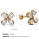 EH1139WEG gold-tone zircon earrings Picture4