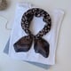 brown/Leopard Print Series 14 Picture2