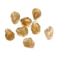 Light brown/20piece Picture5